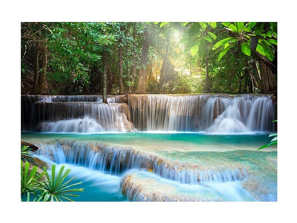 Papier Peint "Awakening of Nature" 105 x 150 cm