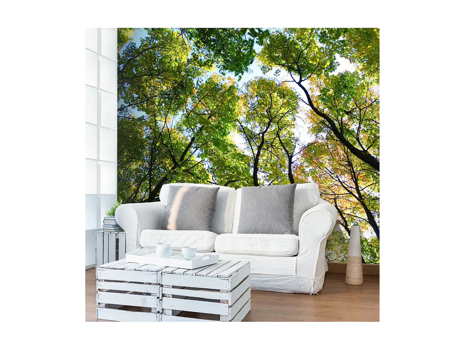 Papier Peint "Looking Up at the Trees" 270 x 350 cm