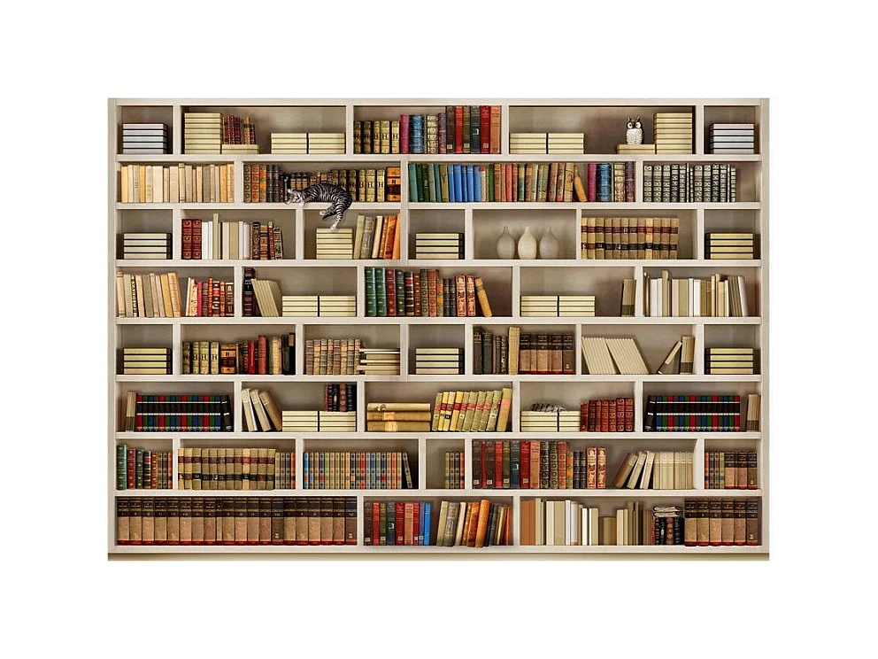 Papier Peint "Bibliothèque Domestique" 70 x 100 cm