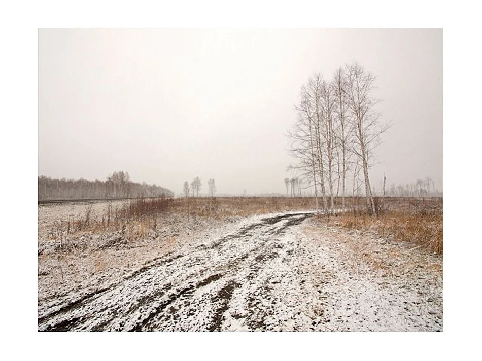 Papier Peint "Winter Field" 154 x 200 cm