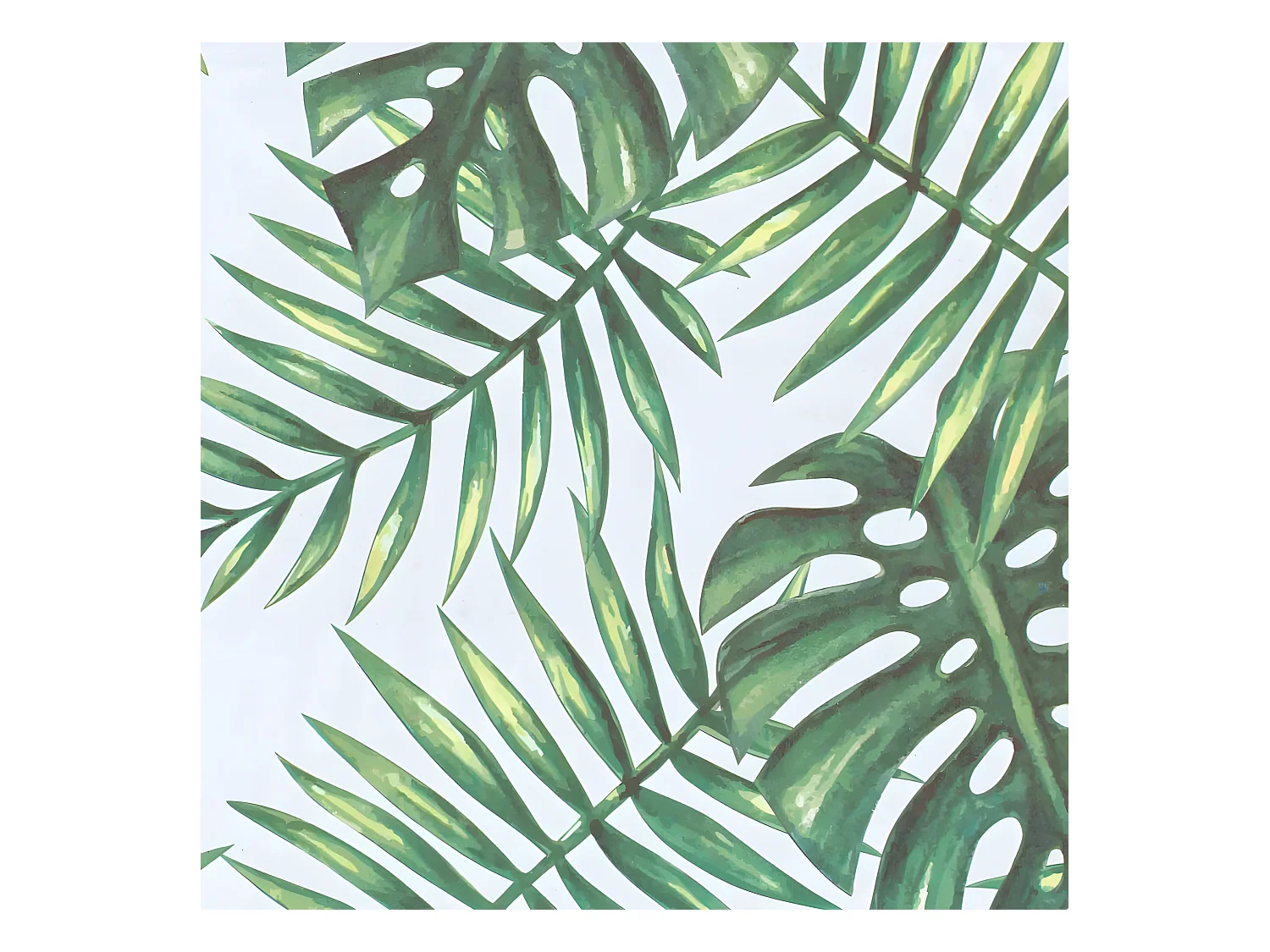 Rouleau Adhésif "Tropical" 45x200cm Vert