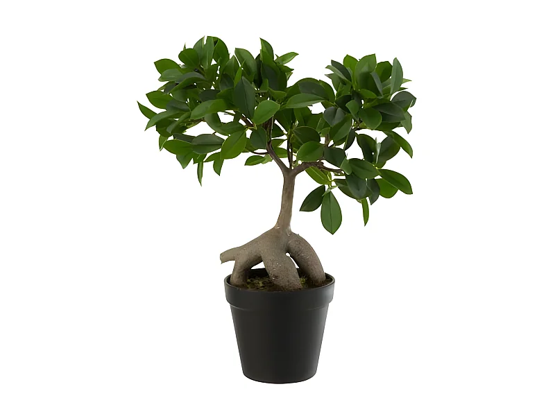Árbol de ficus en maceta de tela verde de 25x13x37 cm