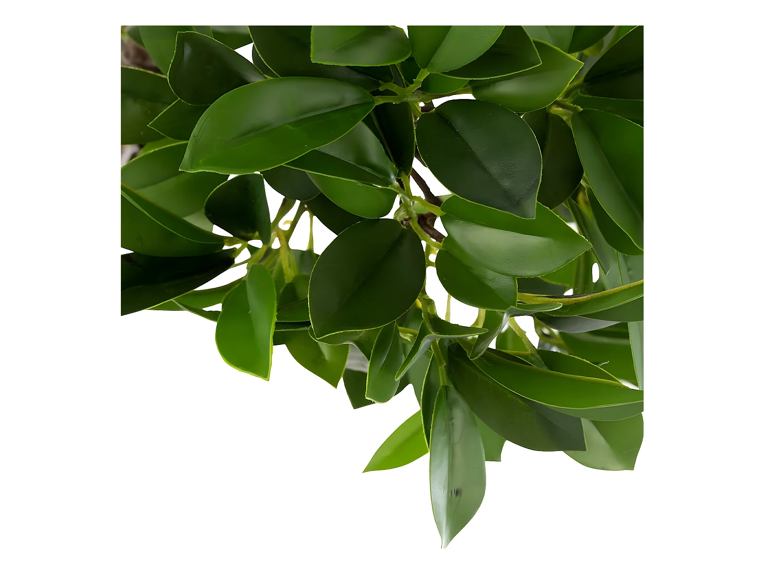 Plante Artificielle en Pot "Ficus" 37cm Vert