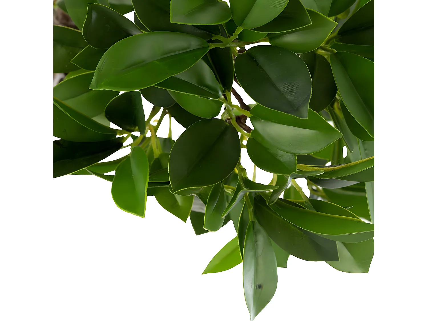 Plante Artificielle en Pot "Ficus" 37cm Vert