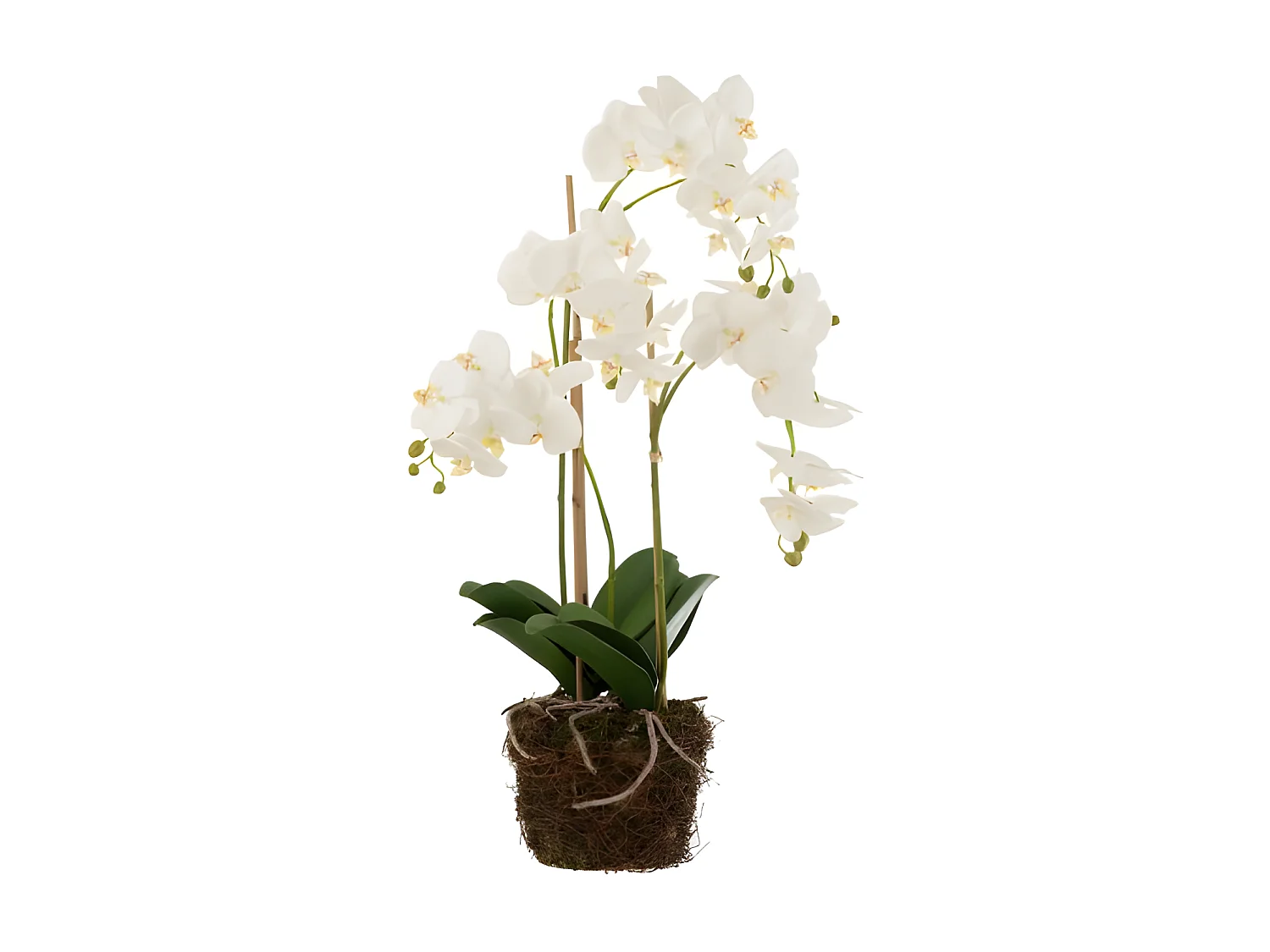 Fleur Artificielle Déco "Orchidée en Terre" 72cm Blanc