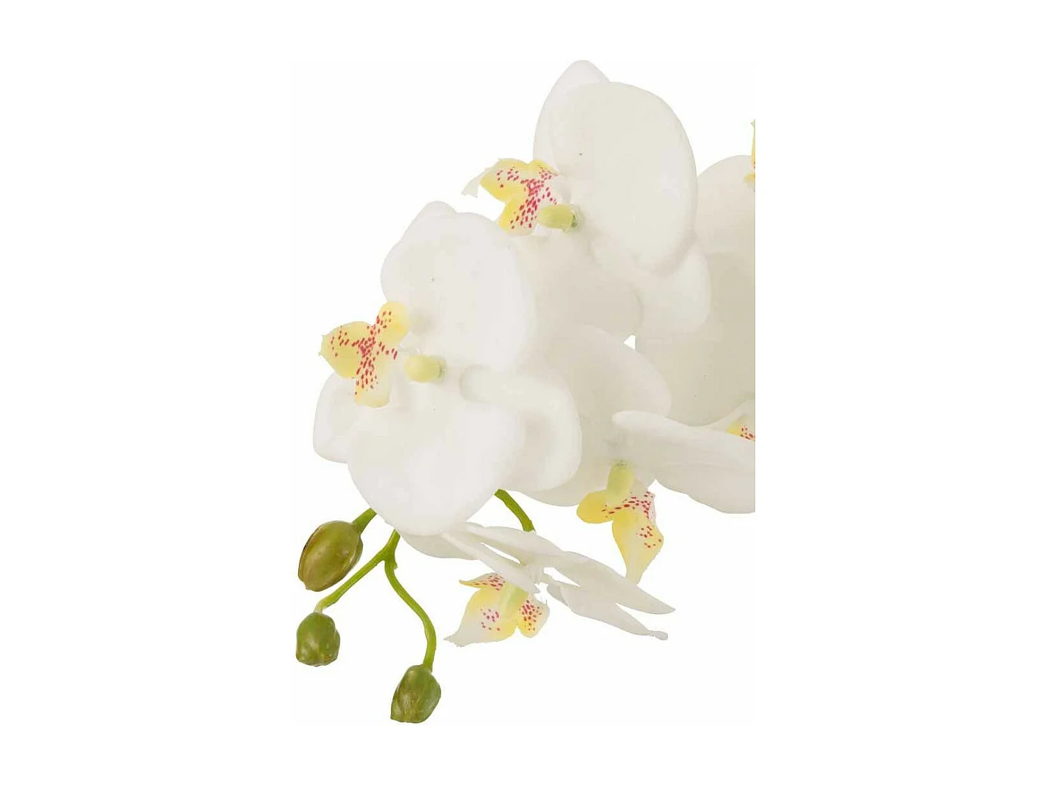 Fleur Artificielle Déco "Orchidée en Terre" 72cm Blanc