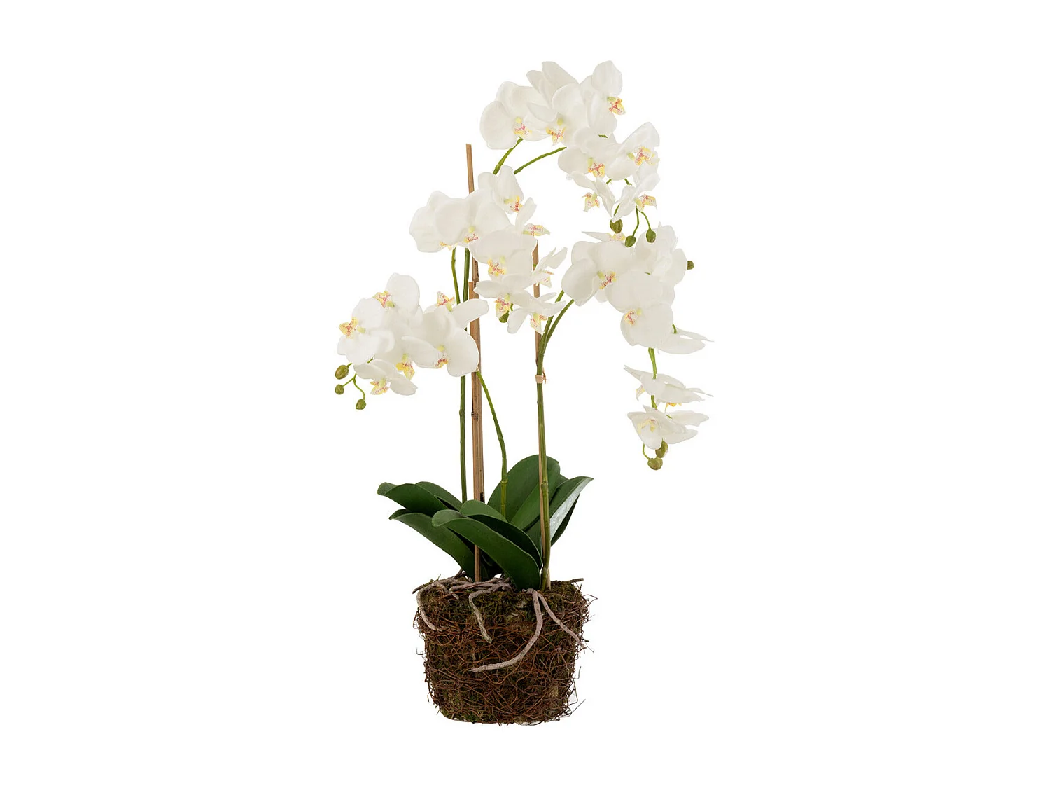 Fleur Artificielle Déco "Orchidée en Terre" 72cm Blanc