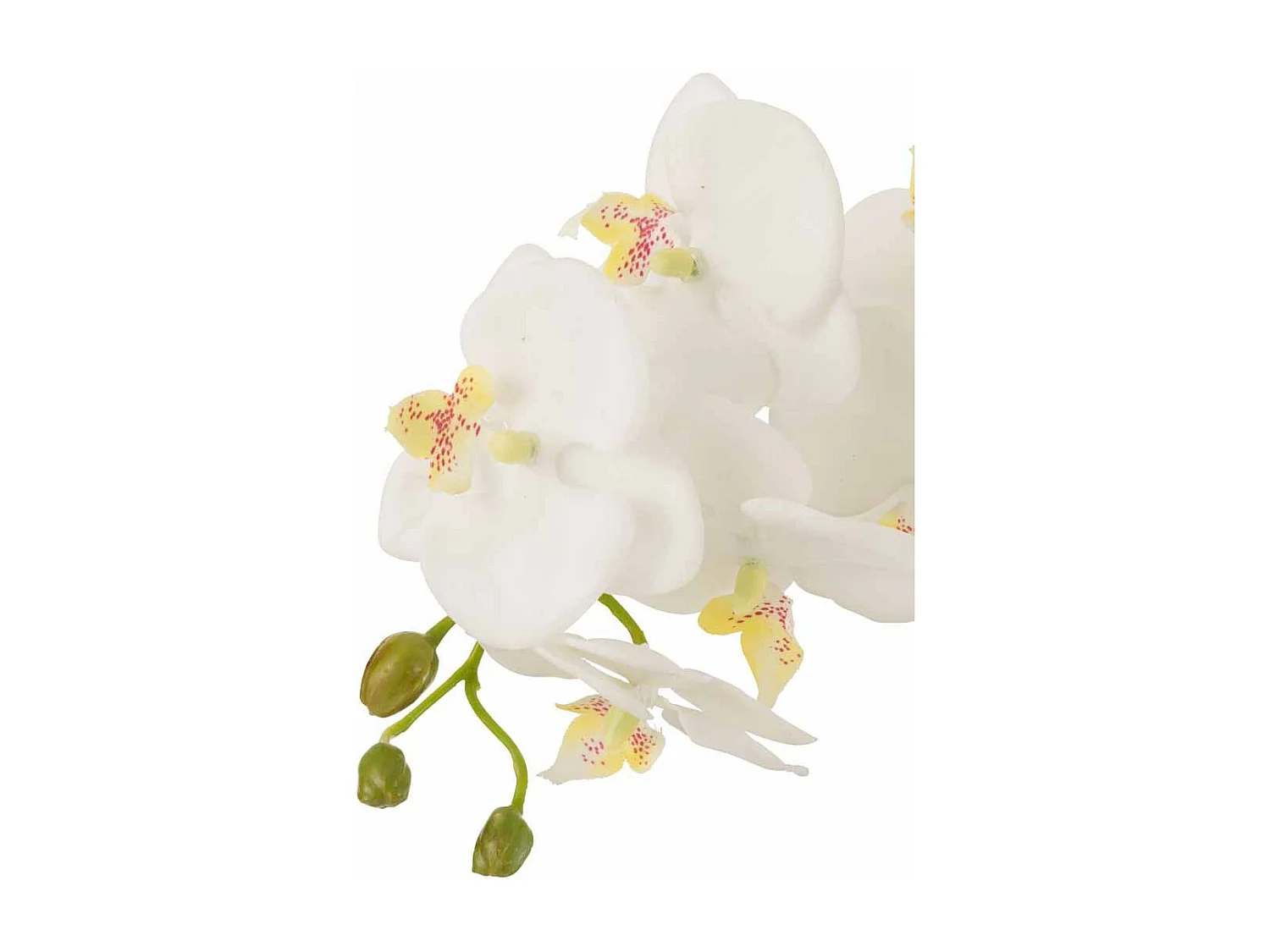 Fleur Artificielle Déco "Orchidée en Terre" 72cm Blanc