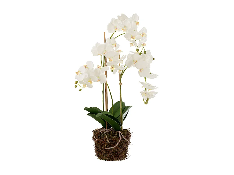 Fleur Artificielle Déco "Orchidée en Terre" 72cm Blanc