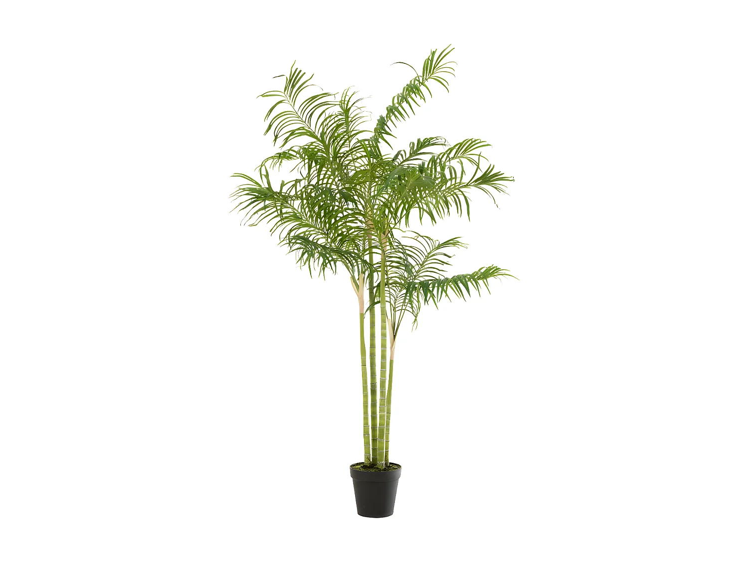 Palmier de bambú en maceta de tela verde 120x120x175 cm