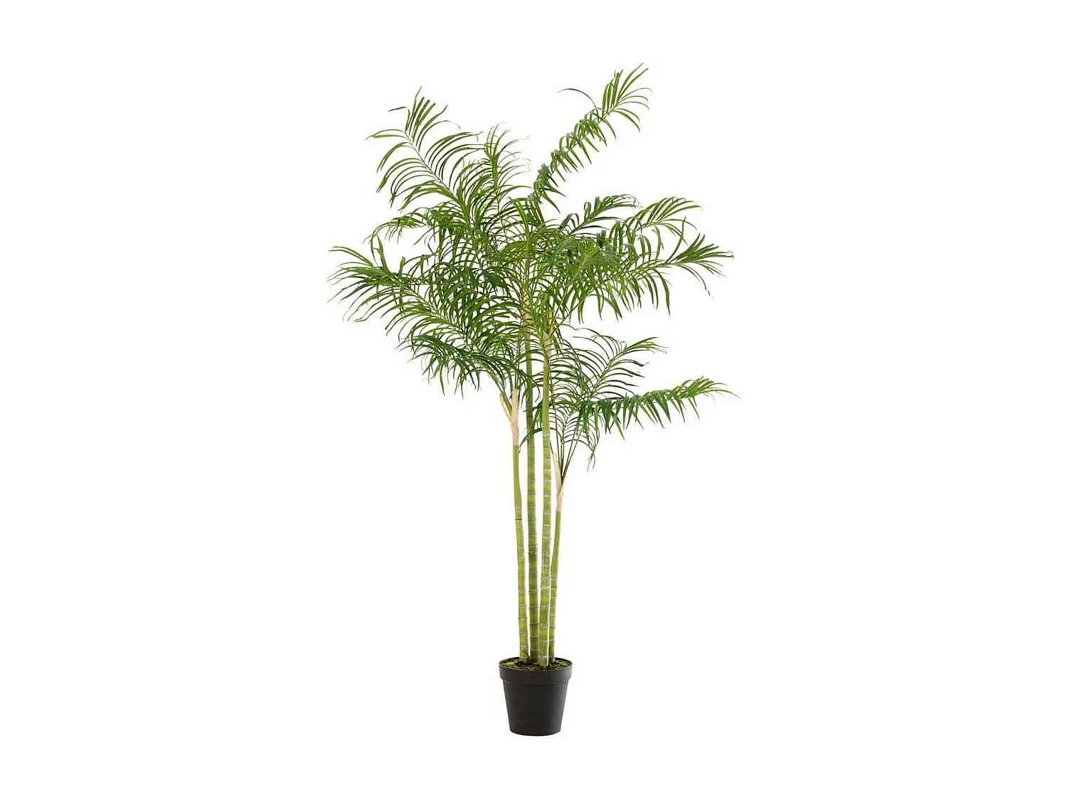Plante Artificielle "Palmier Bambou" 175cm Vert