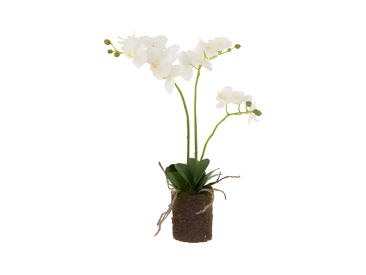 Planta de orquídea en textil blanco de 30x15x52 cm