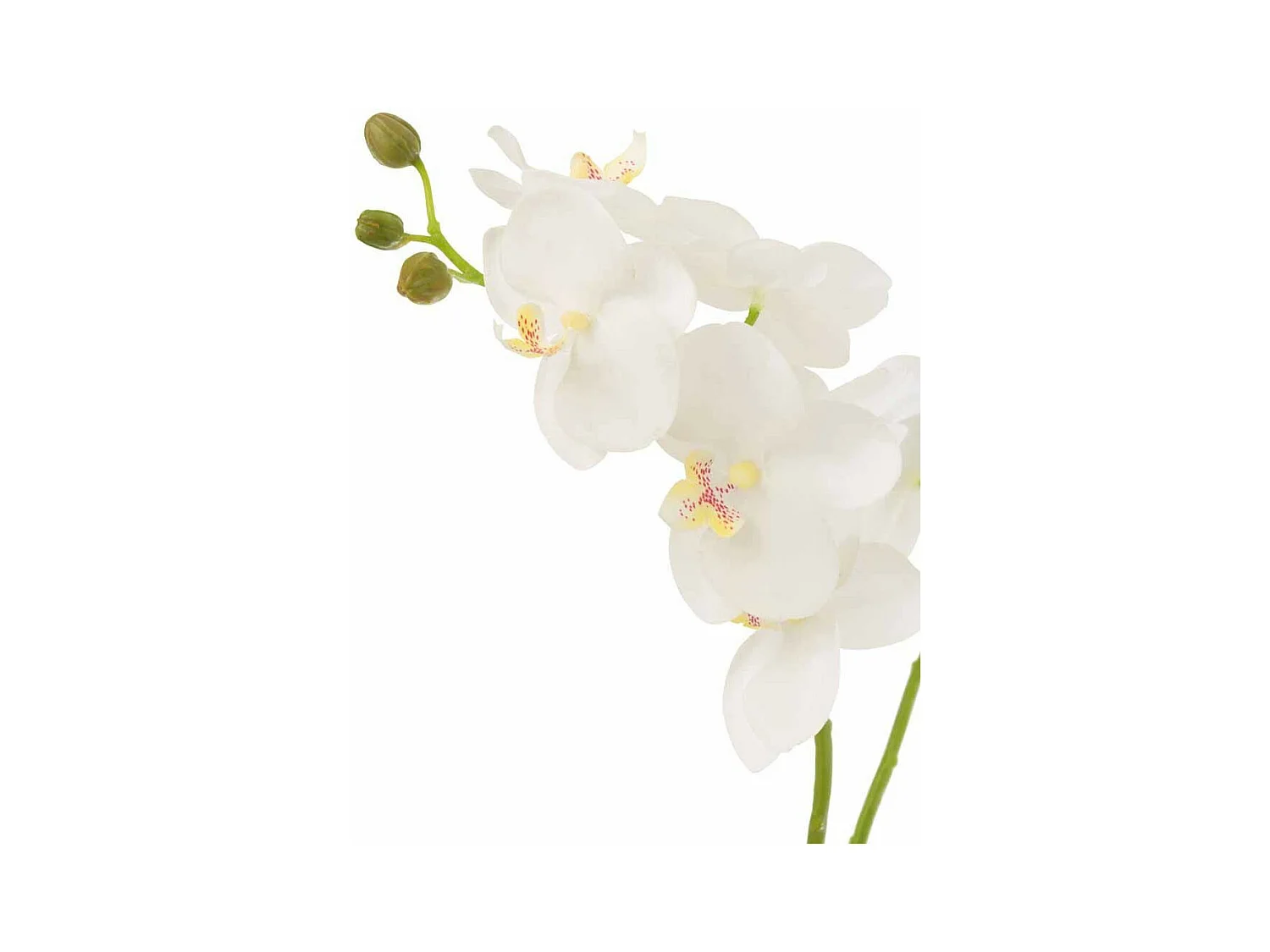 Planta de orquídea en textil blanco de 30x15x52 cm