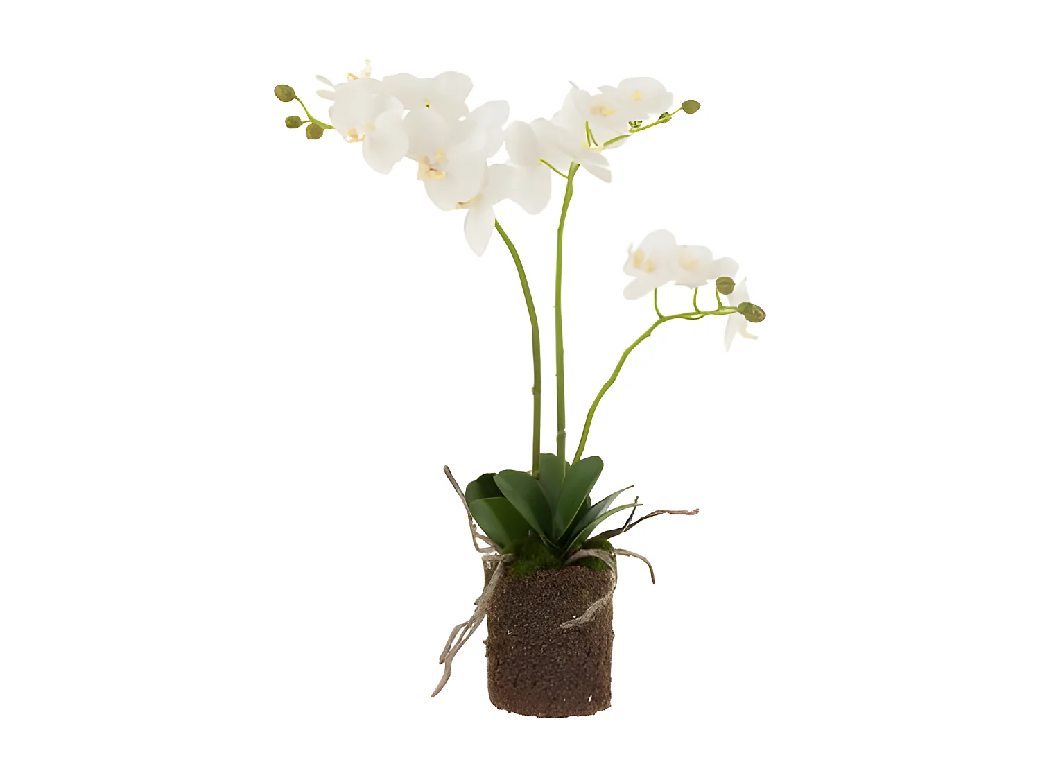 Fleur Artificielle Déco "Orchidée en Terre" 54cm Blanc