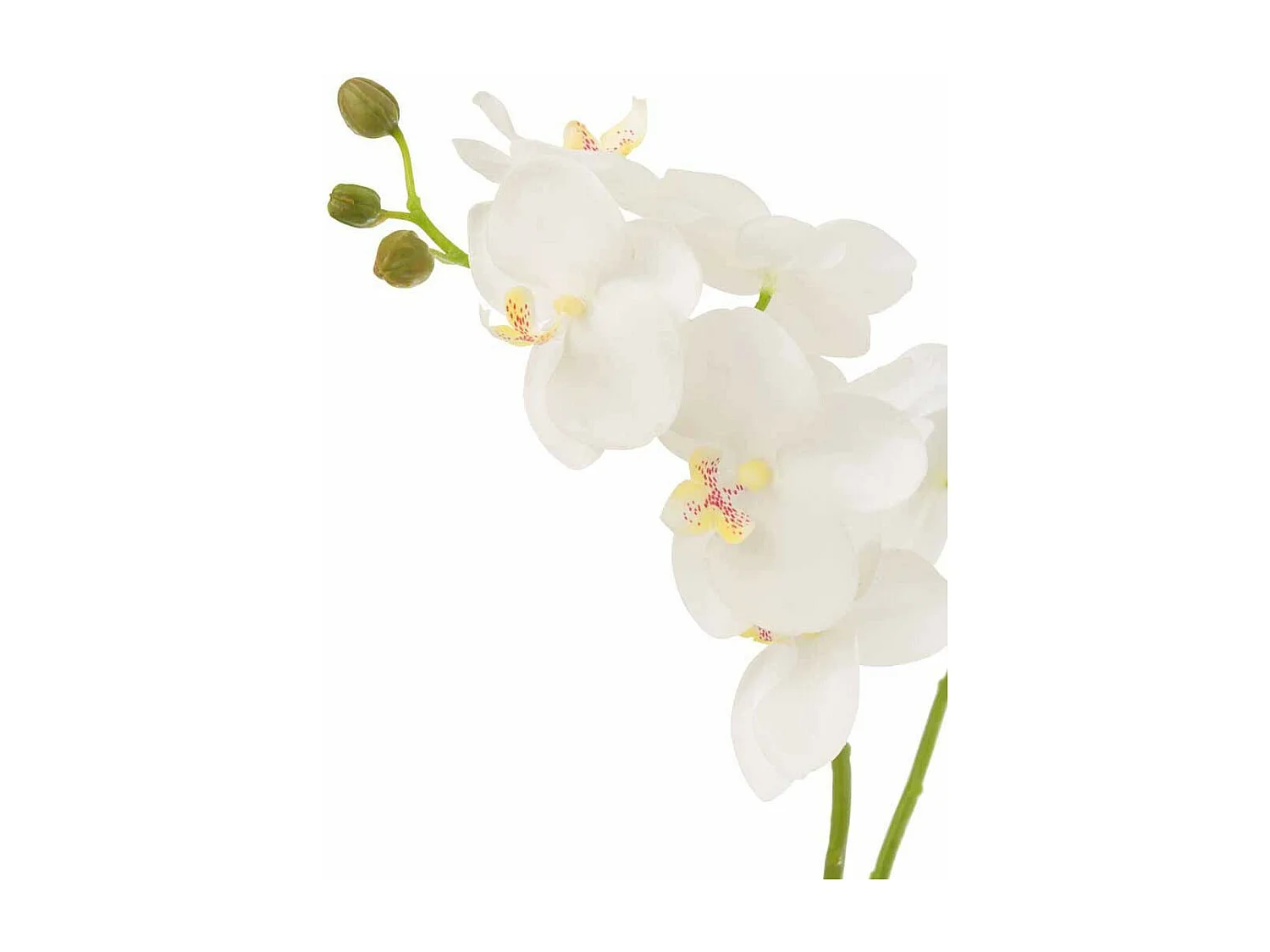 Fleur Artificielle Déco "Orchidée en Terre" 54cm Blanc