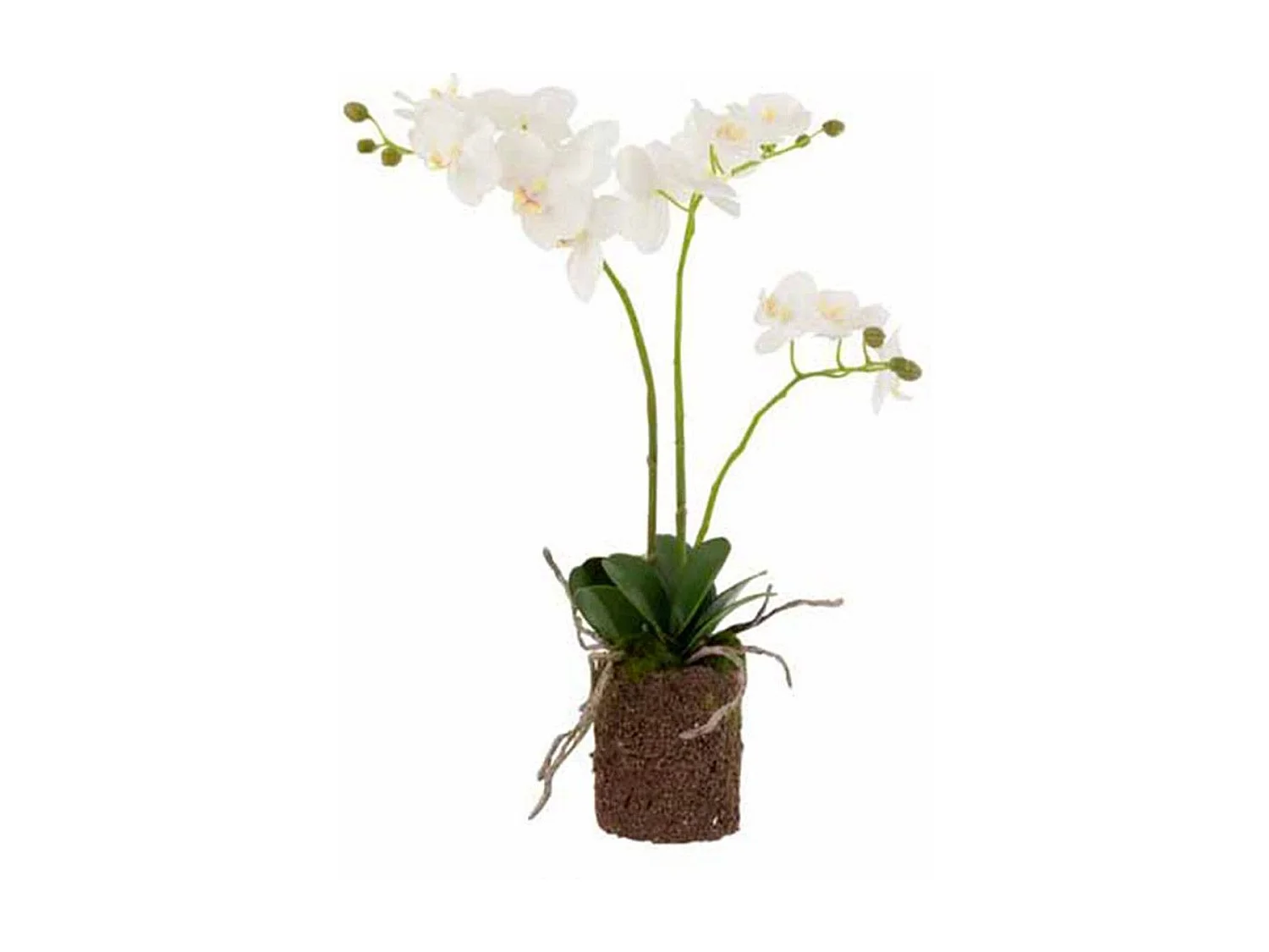 Fleur Artificielle Déco "Orchidée en Terre" 54cm Blanc