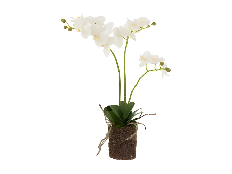 Fleur Artificielle Déco "Orchidée en Terre" 54cm Blanc
