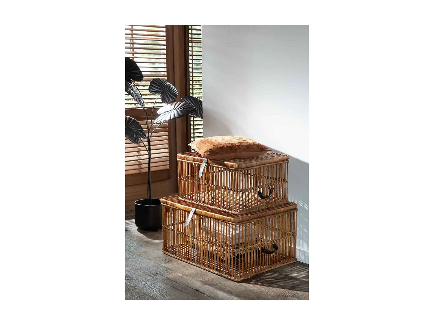 Pianta decorativa in metallo marrone 65x65x142 cm.