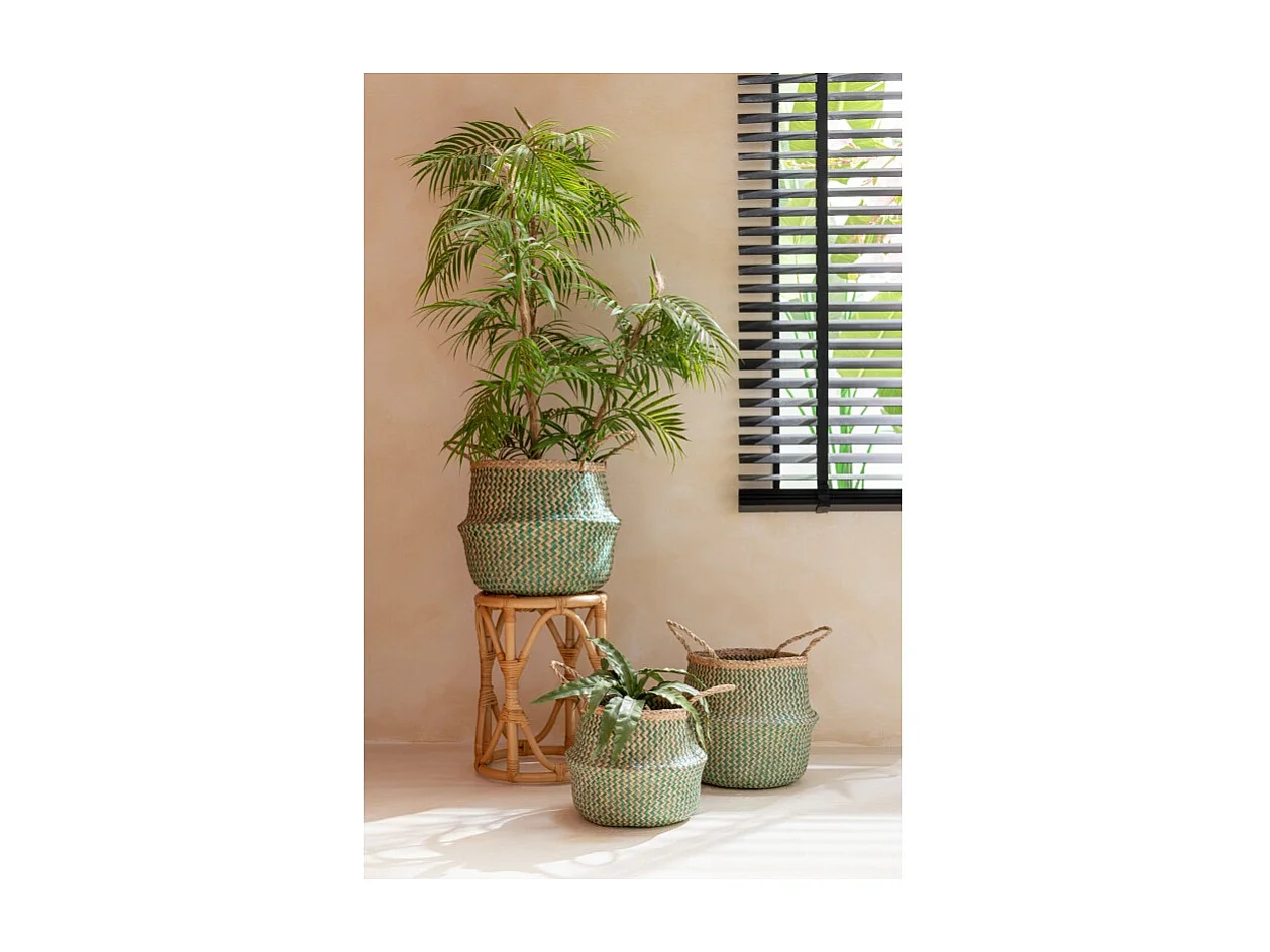 Plante Artificielle "Langue Belle-mère" 40cm Vert