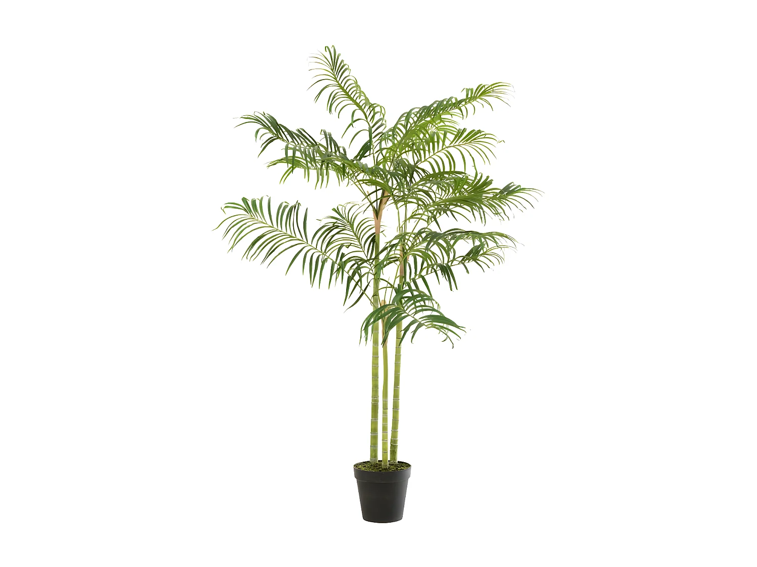 Plante Artificielle "Palmier Bambou" 170cm Vert