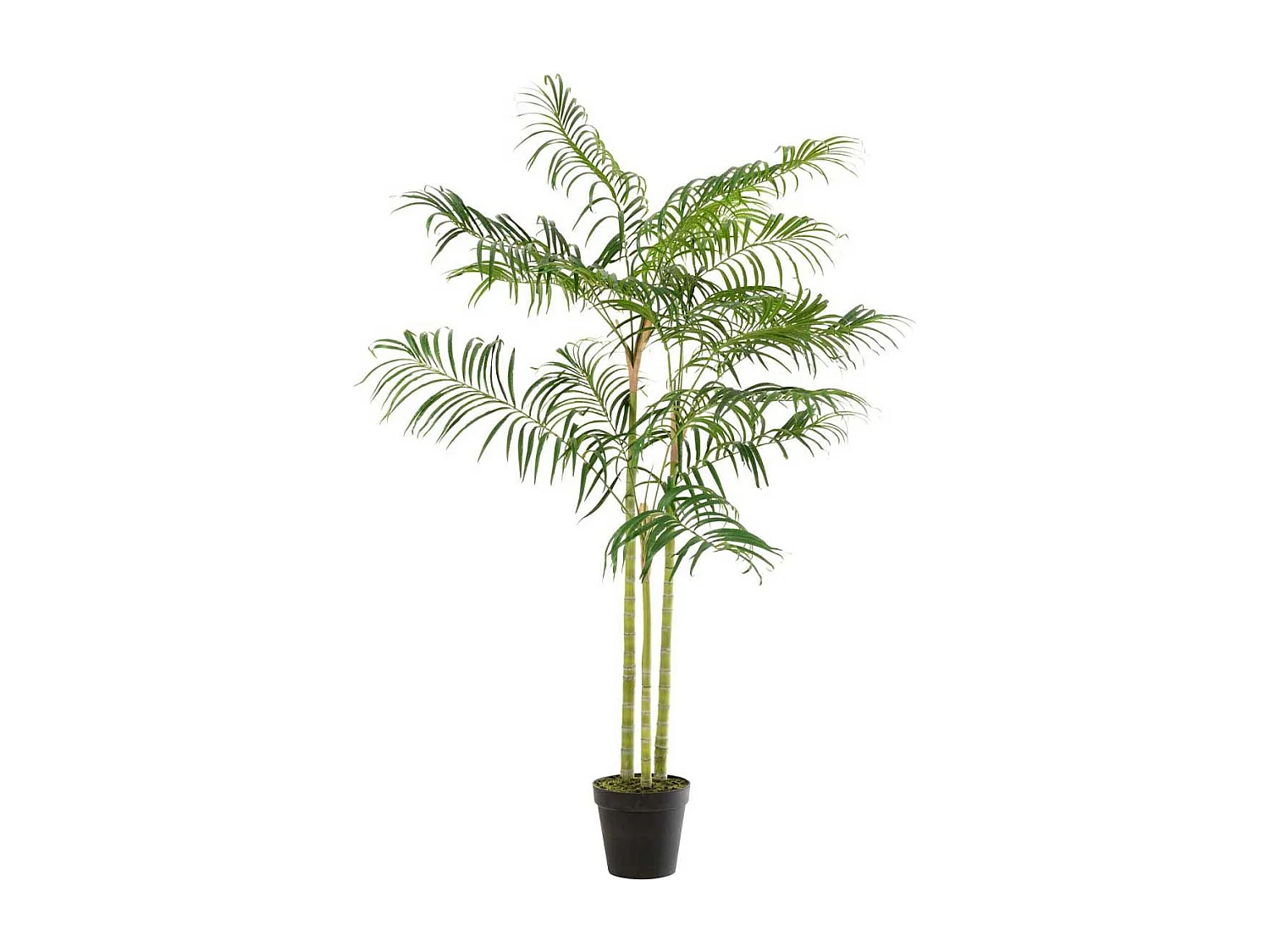 Plante Artificielle "Palmier Bambou" 170cm Vert