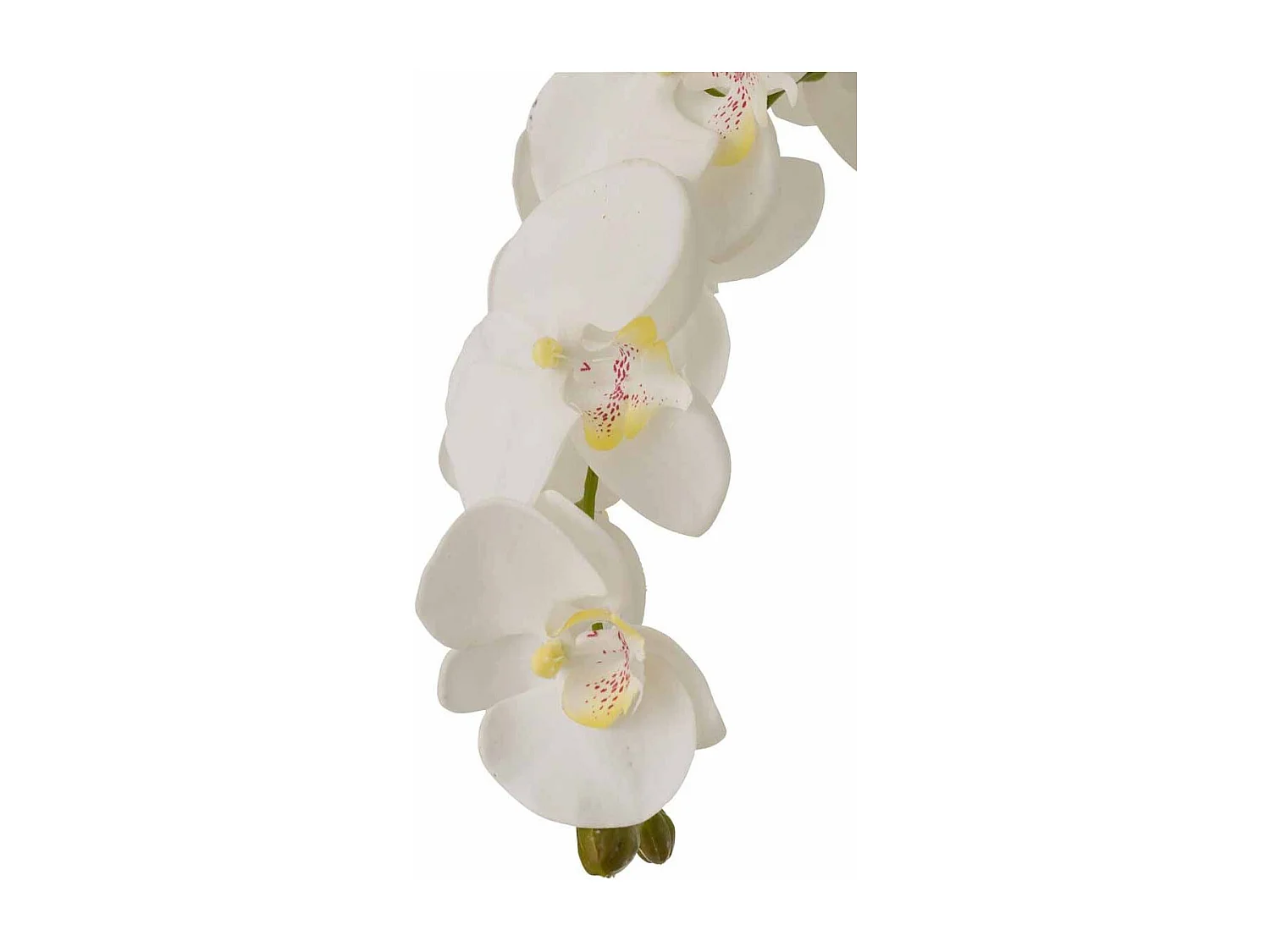 Fleur Artificielle Déco "Orchidée en Terre" 98cm Blanc