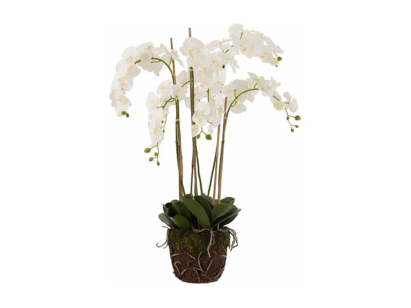 Fleur Artificielle Déco "Orchidée en Terre" 98cm Blanc