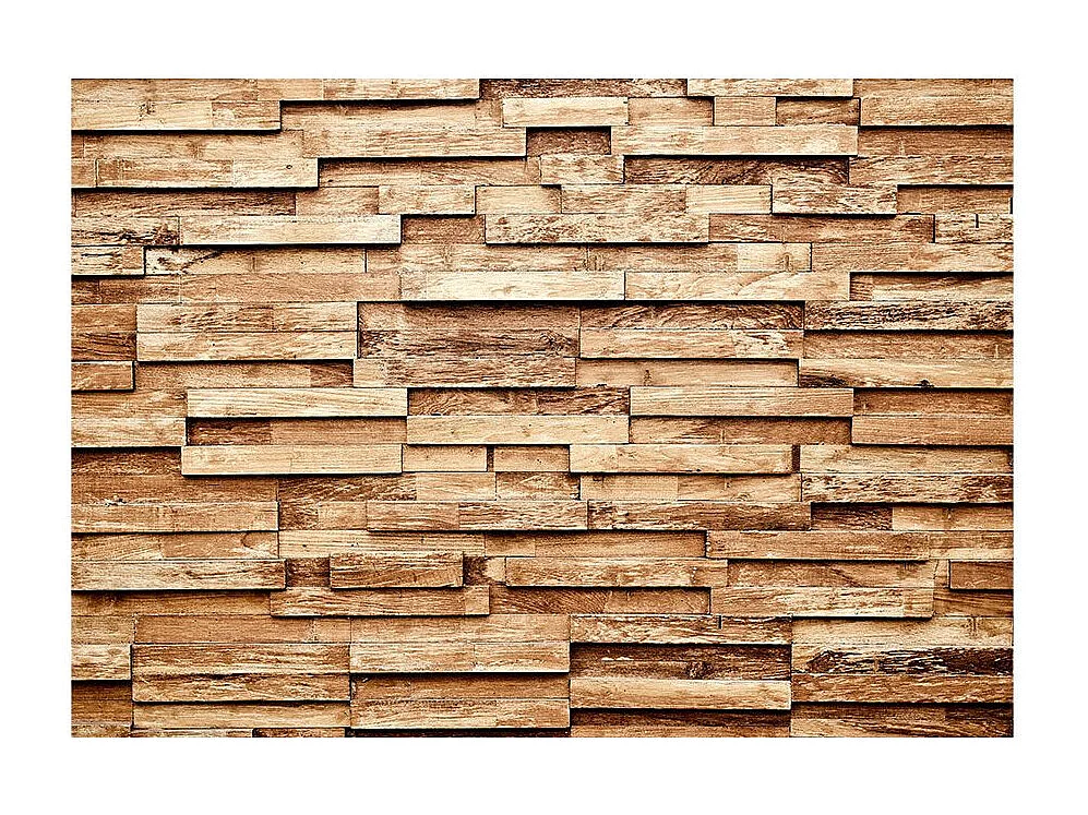 Papier Peint "Palisade" 175 x 250 cm