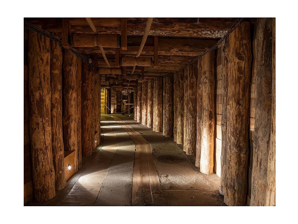 Papier Peint "Wooden Passage" 193 x 250 cm