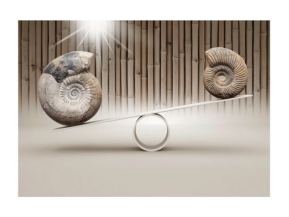 Papier Peint "Fun with Fossils" 175 x 250 cm