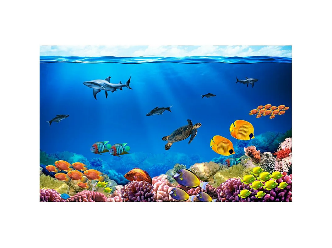 Papier Peint "Underwater Kingdom" 105 x 150 cm