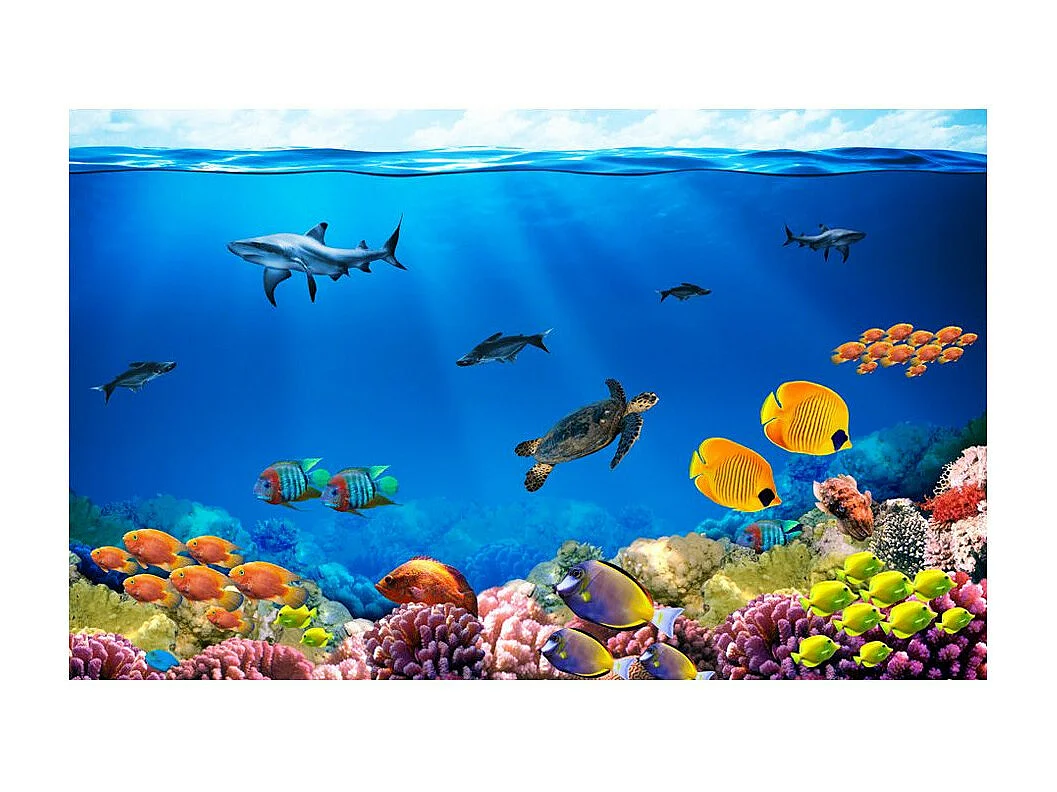 Papier Peint "Underwater Kingdom" 105 x 150 cm