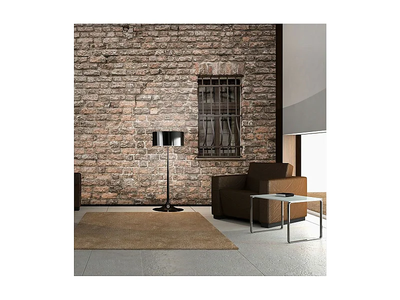 Papier Peint "Piégé dans la Réalité" 231 x 300 cm