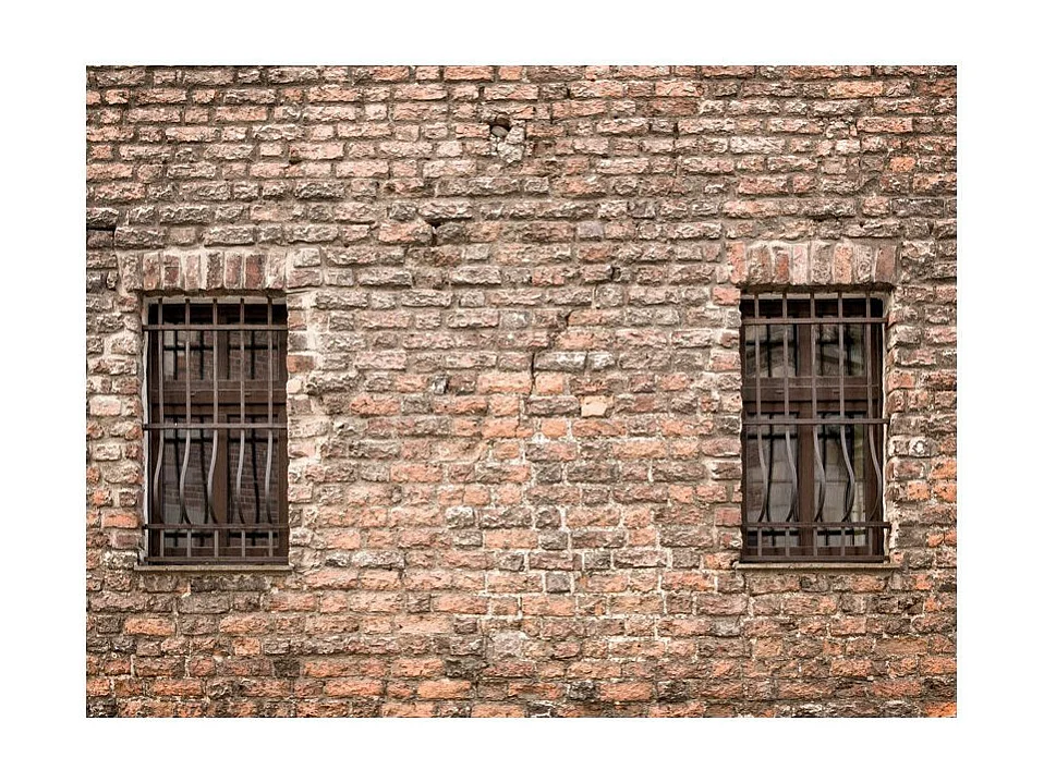 Papier Peint "Piégé dans la Réalité" 231 x 300 cm