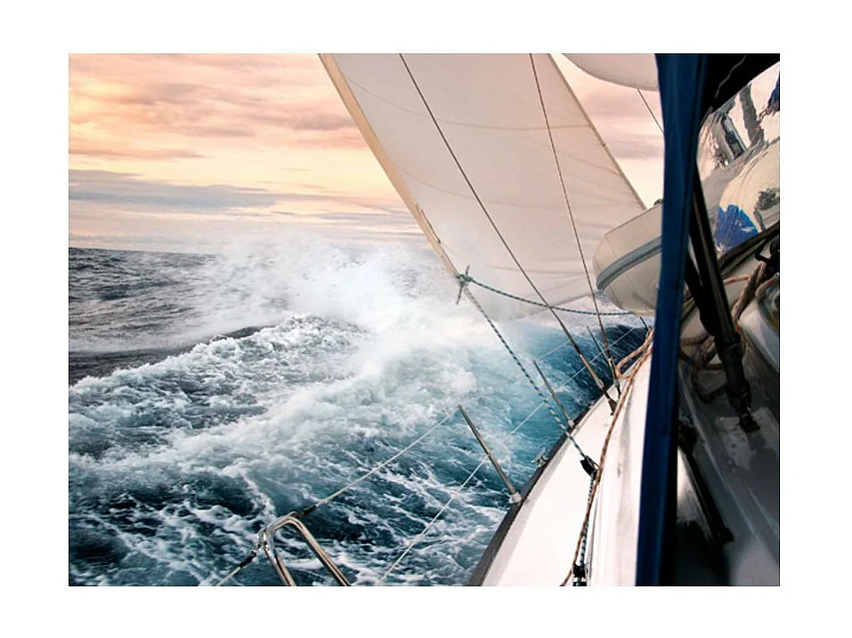 Papier Peint "Voile" 231 x 300 cm