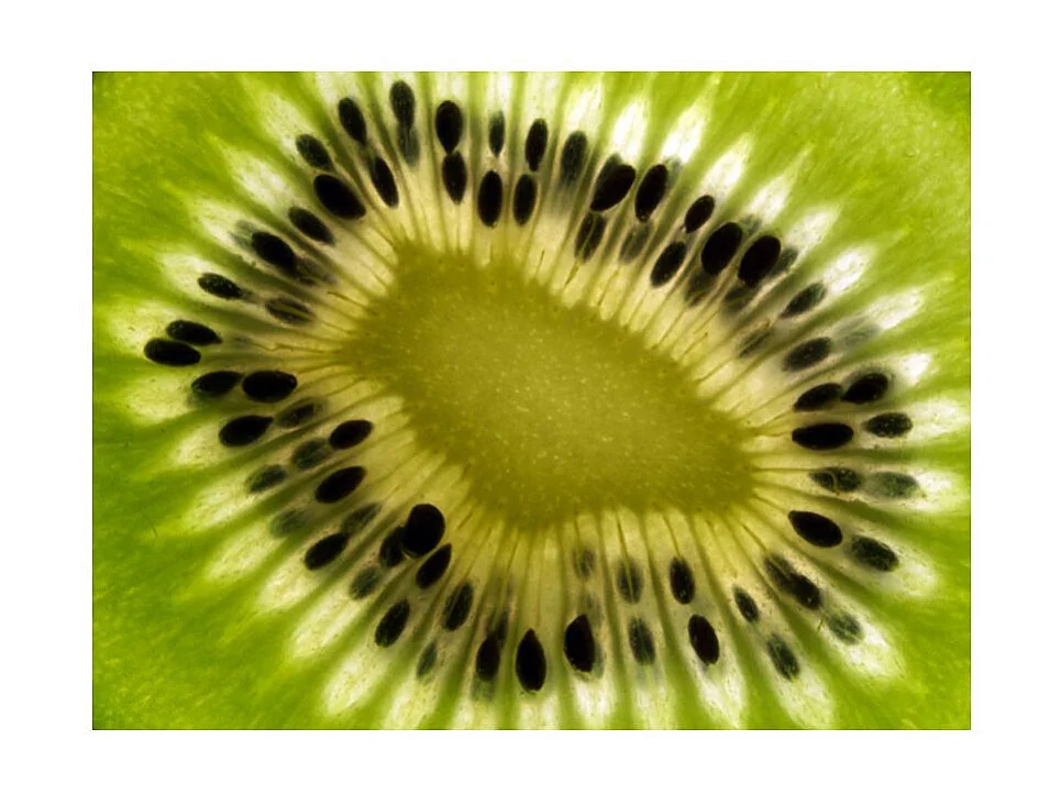 Papier Peint "Fruits : Kiwi" 154 x 200 cm