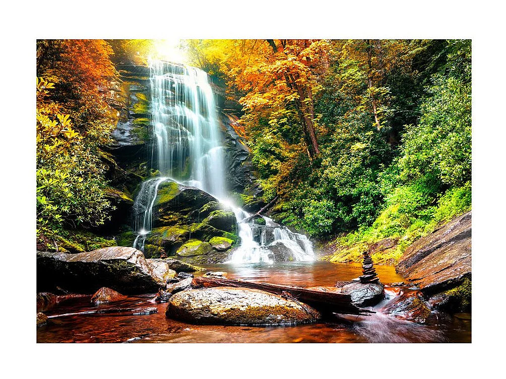 Papier Peint "Miracle de la Nature" 210 x 300 cm