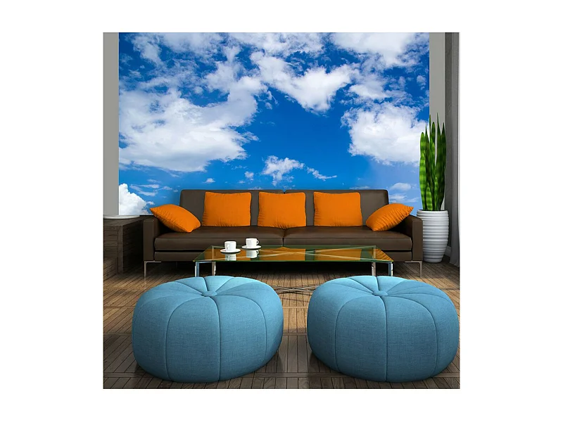 Papier Peint "À Ciel Ouvert" 154 x 200 cm