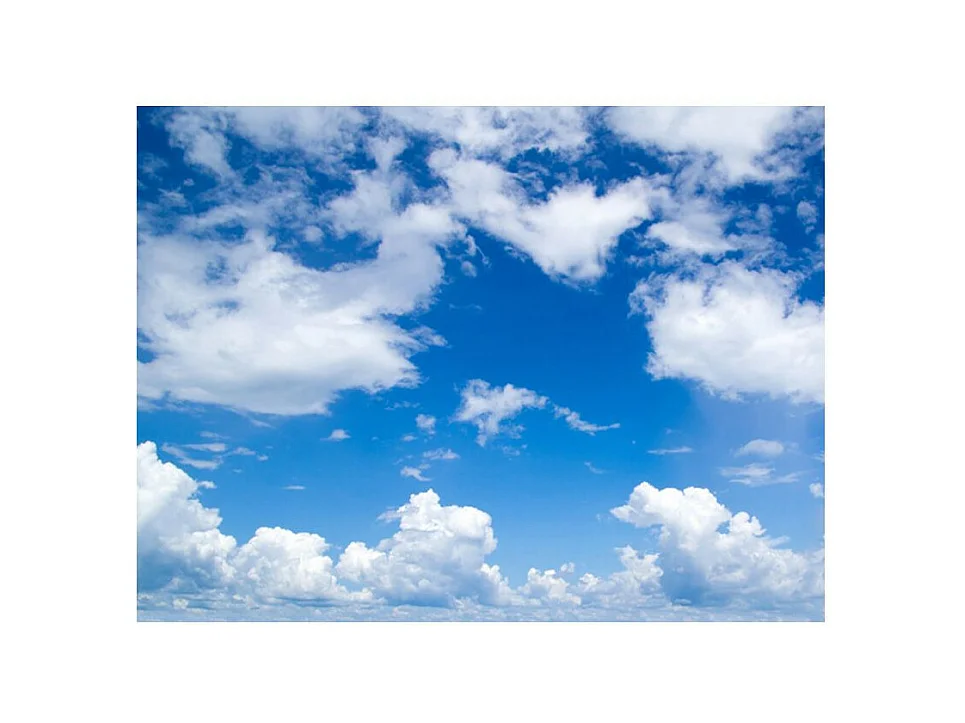 Papier Peint "À Ciel Ouvert" 154 x 200 cm