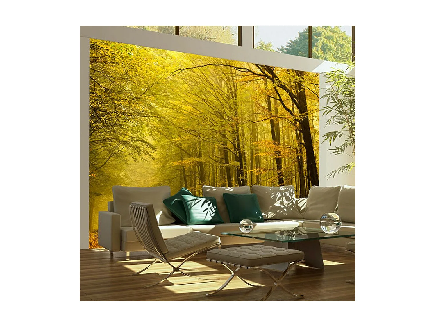 Papier Peint "Route dans la Forêt D'automne" 270 x 350 cm