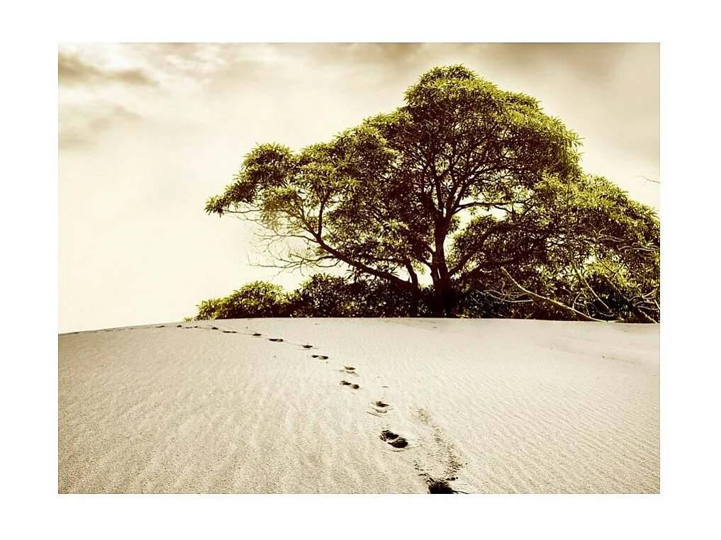 Papier Peint "Arbre dans le Désert" 231 x 300 cm