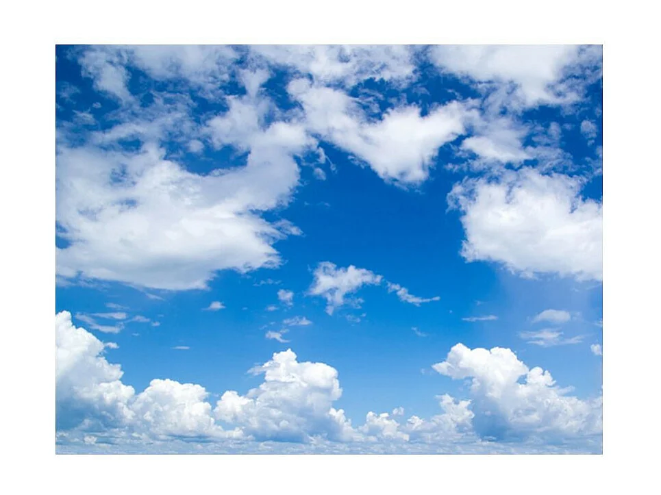 Papier Peint "À Ciel Ouvert" 270 x 350 cm