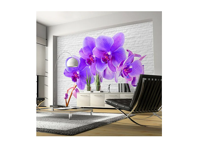 Papier Peint "Violet Excitation" 70 x 100 cm