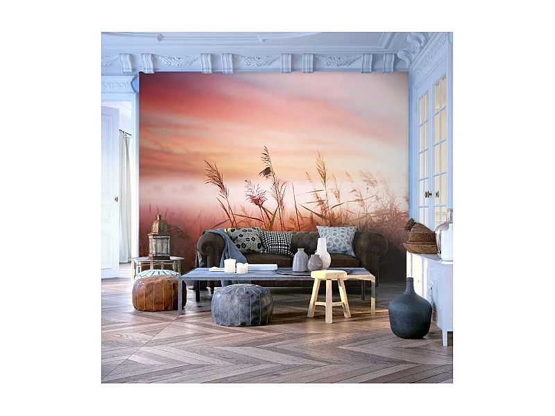 Papier Peint "Prairie à l'aube" 193 x 250 cm