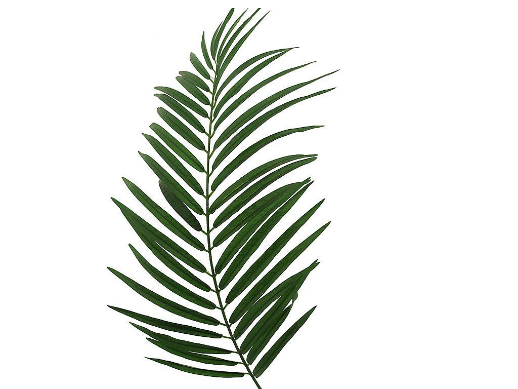 Árbol artificial Palmera PALMITA Alt. 170cm 10 troncos