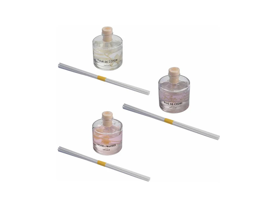 Lot de 3 Diffuseurs de Parfum "Botanica" 100ml Multicolore