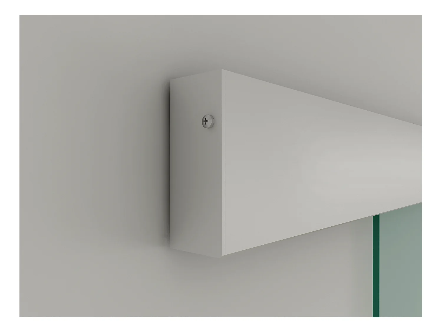 Schiebetür mit Laufschienensystem - 205 x 93 cm - Sicherheitsglas - HEIDI