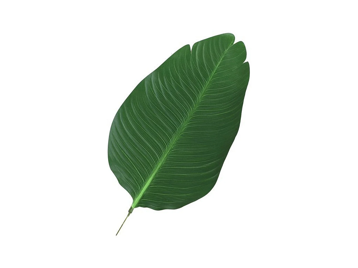 Planta artificial verde ø15x120 cm Outsunny