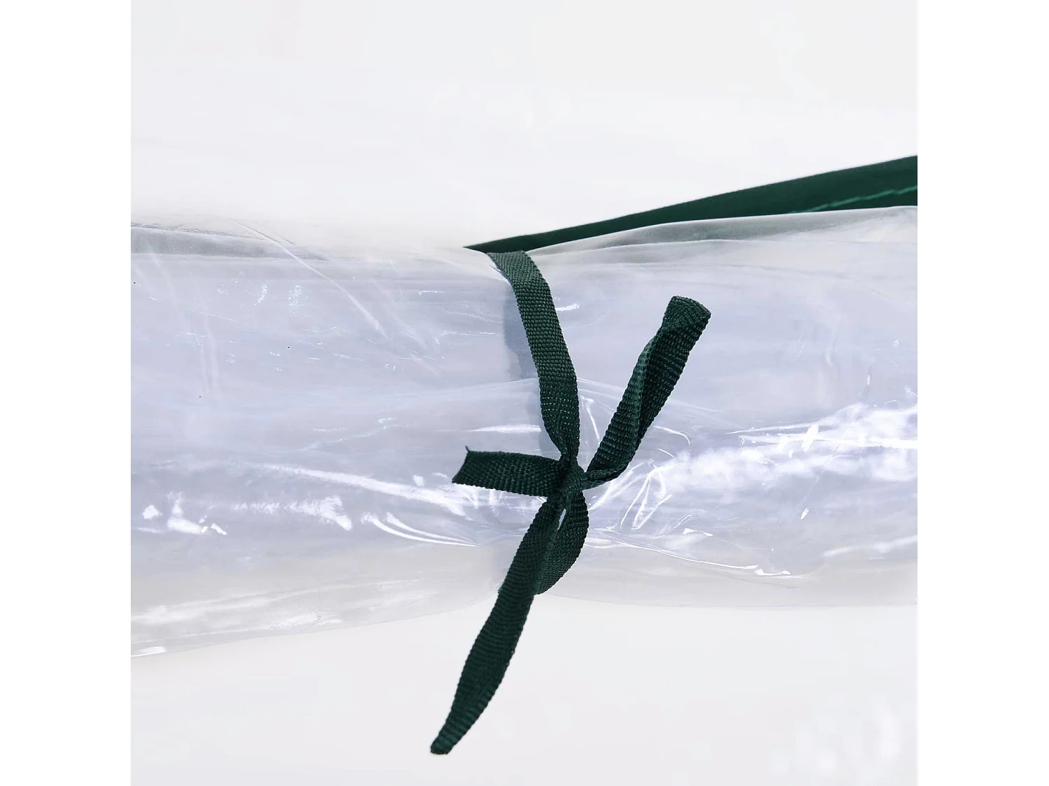 Invernadero caseta transparente 250x100x80 cm Outsunny