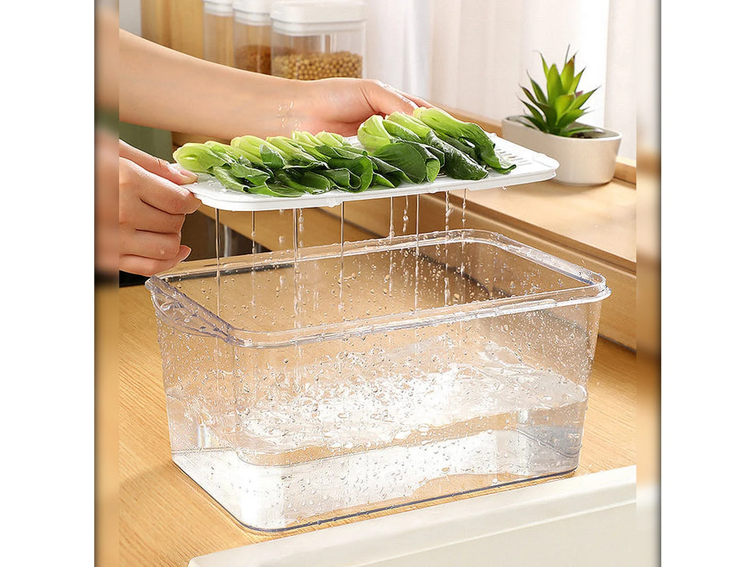 Set de 2 récipients alimentaires de 2,5 l chacun pour la conservation des aliments, avec couvercles